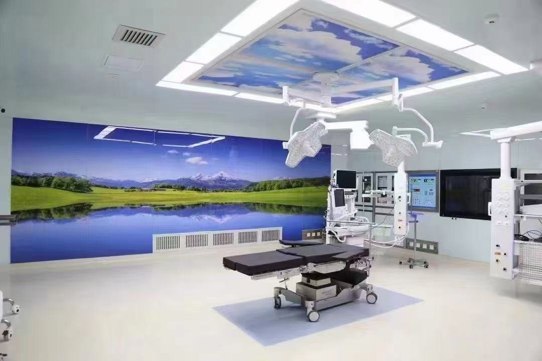 Hospital operating room with landscape wall design