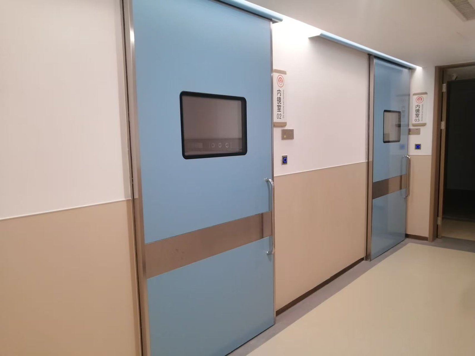 Cleanroom door with observation window