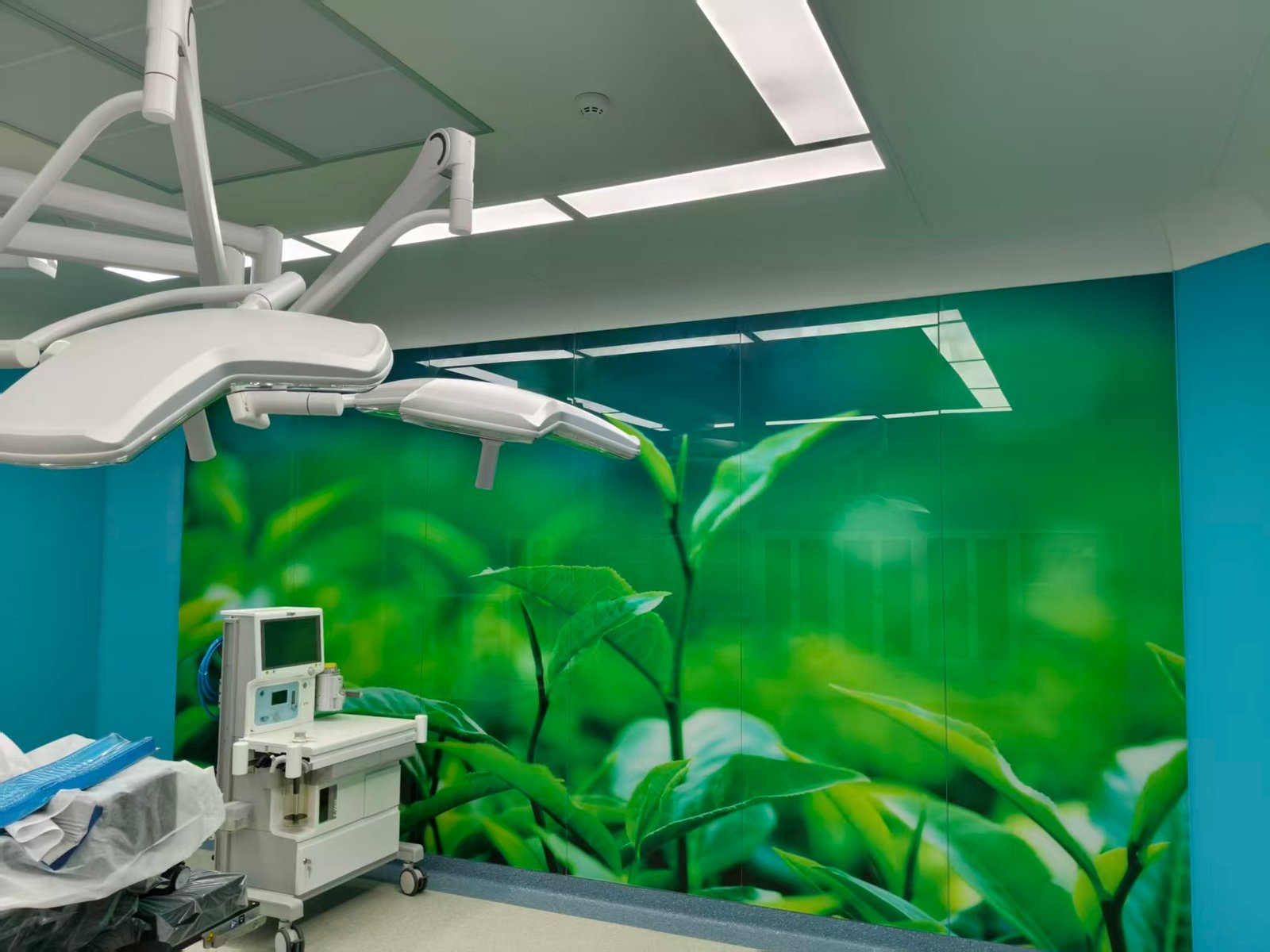 Operating room mural wall and ceiling equipment