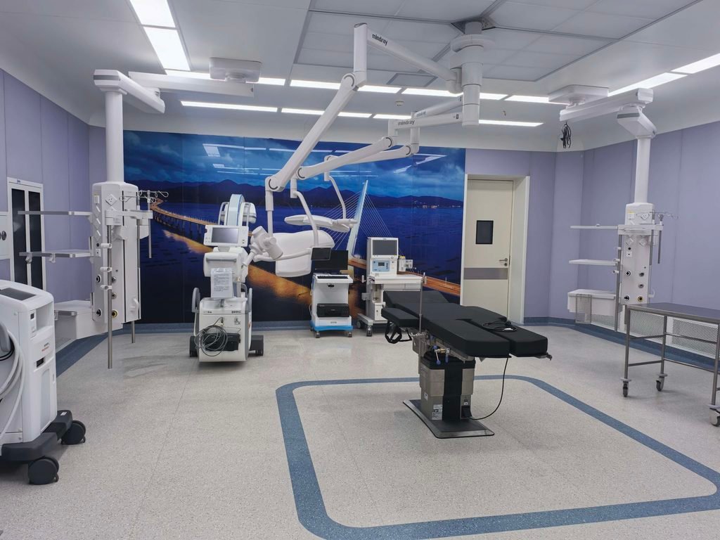 Operating Theater Wall Protection: Impact Resistance and Trolley Damage Prevention 011
